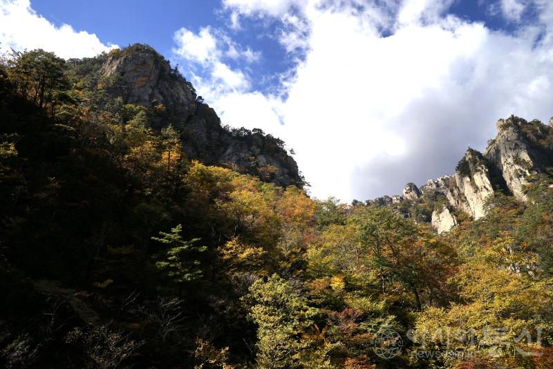 주33(작).jpg