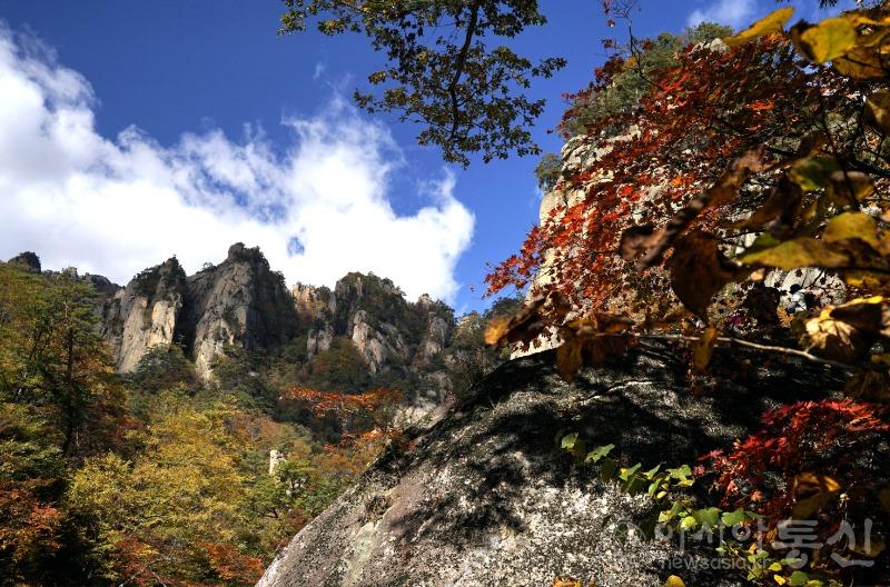 주44(보도).jpg
