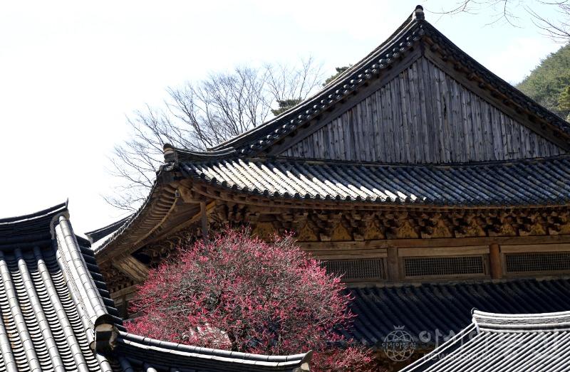 화19(작).jpg