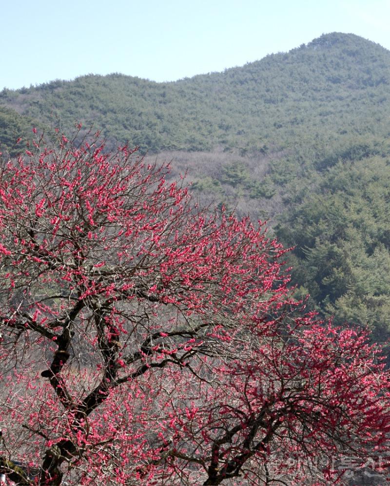 화25(작).jpg