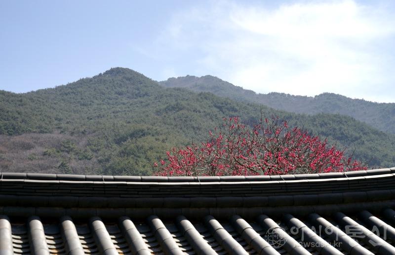 화24(작).jpg