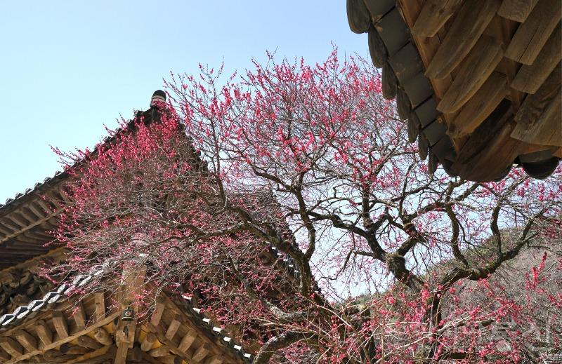 화1(작).jpg