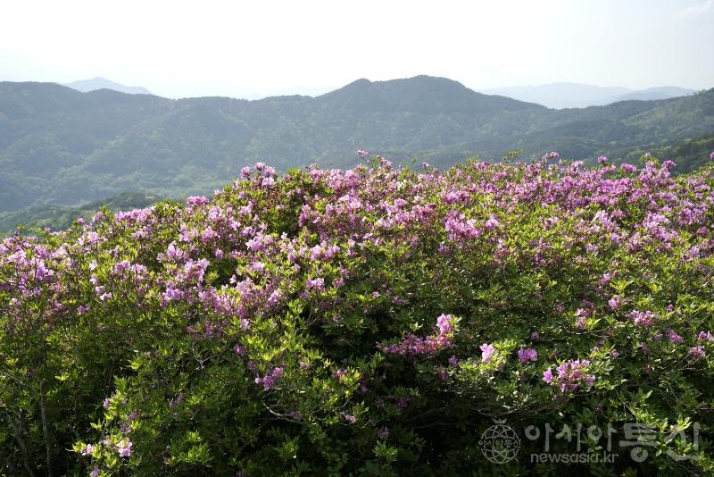 황68.jpg