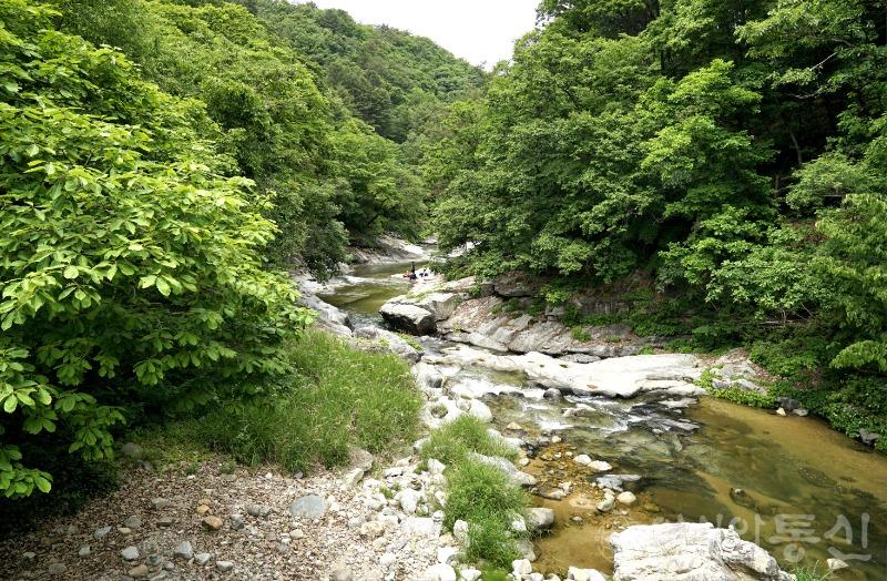 수48.jpg