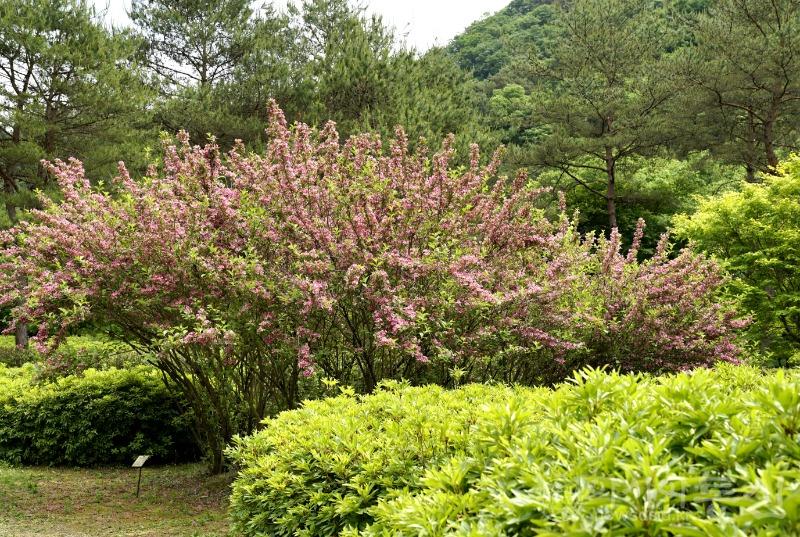 수41.jpg