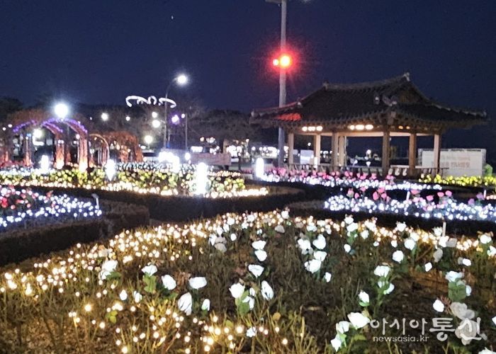 영일대 LED 장미원 전경.