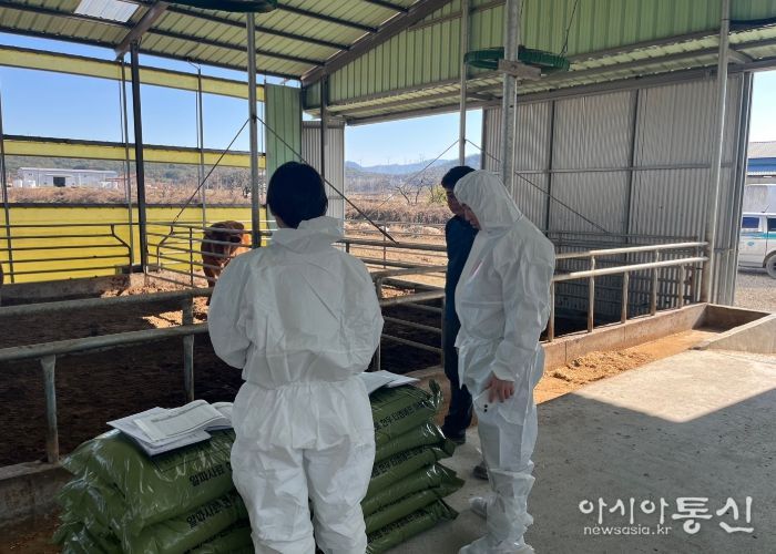 경주시가 지역 한우농가 10곳이 새롭게 식품안전관리인증(HACCP)을 획득했다.