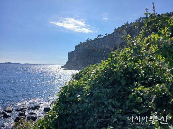 보리밥나무