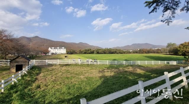 전국 최우수 친환경 농장으로 선정된 '농도원목장'