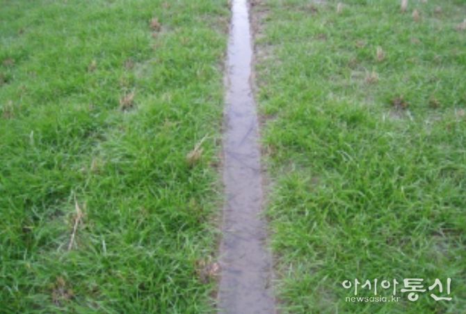 배수로가 정비된 재배지