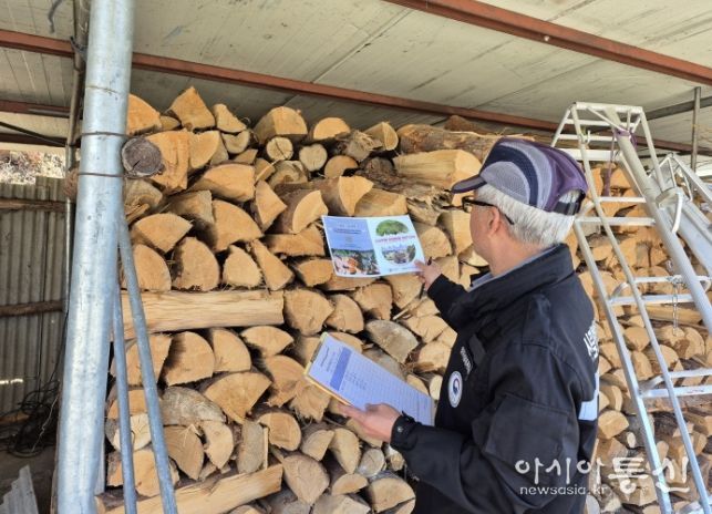가을철 소나무류 이동 특별단속