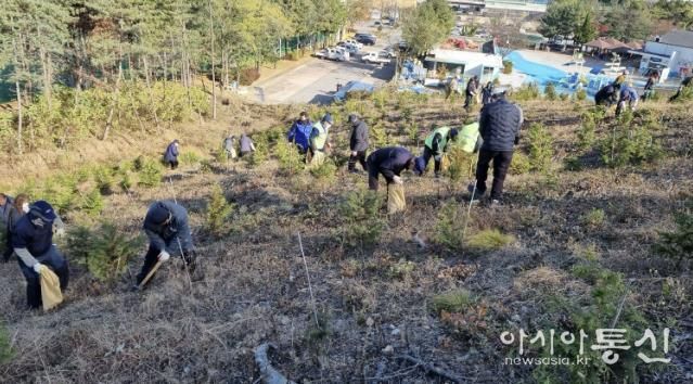 18일 안산시 백운공원에서 열린 비료시비 행사에서 참여자들이 고형복합비료 시비 활동을 진행하고 있다.