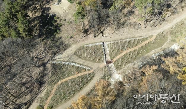 용인특례시가 수지구 죽전동에 조성한 '도시 숲' 모습