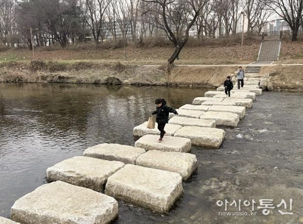 성남시 분당구 구미동 성남물빛공원~무지개마을 잇는 탄천 징검다리
