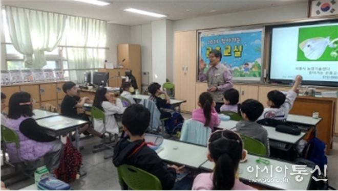 곤충의 한살이 알아보기