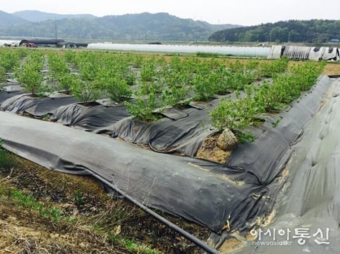 파주시, 2026년 환경친화형 농자재 지원사업 신청 시작