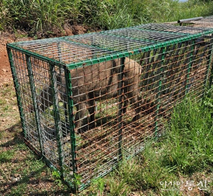 2026년 유해야생동물 피해방지단 모집