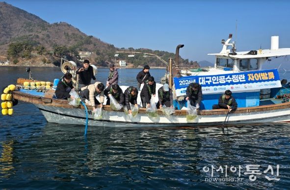 어린 대구 1천만 마리 방류