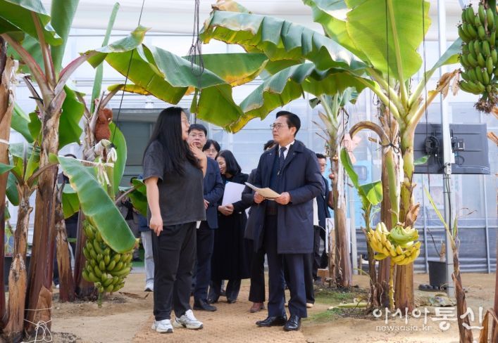 1. 김석필 천안시장 권한대행 부시장이 25일 주요사업 현장에 방문해 점검하고 있다.