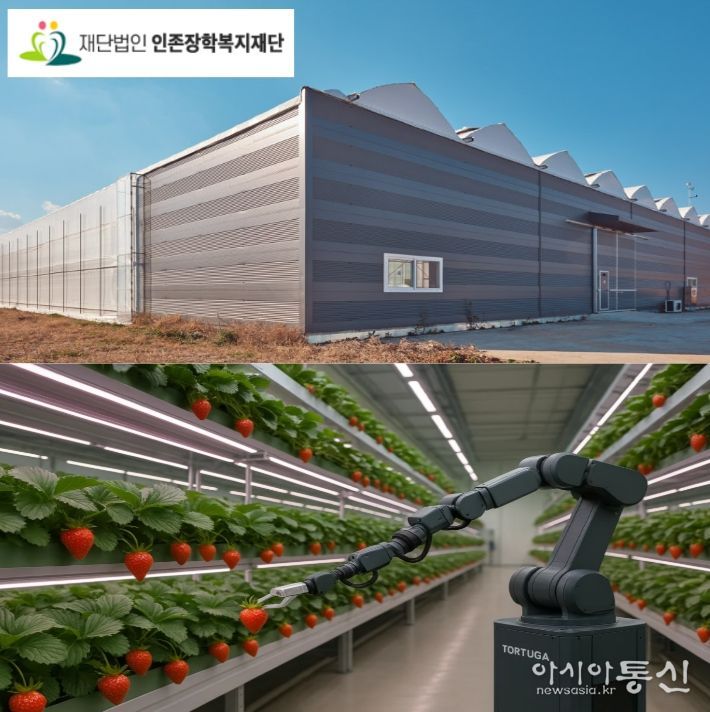 딸기 식물공장